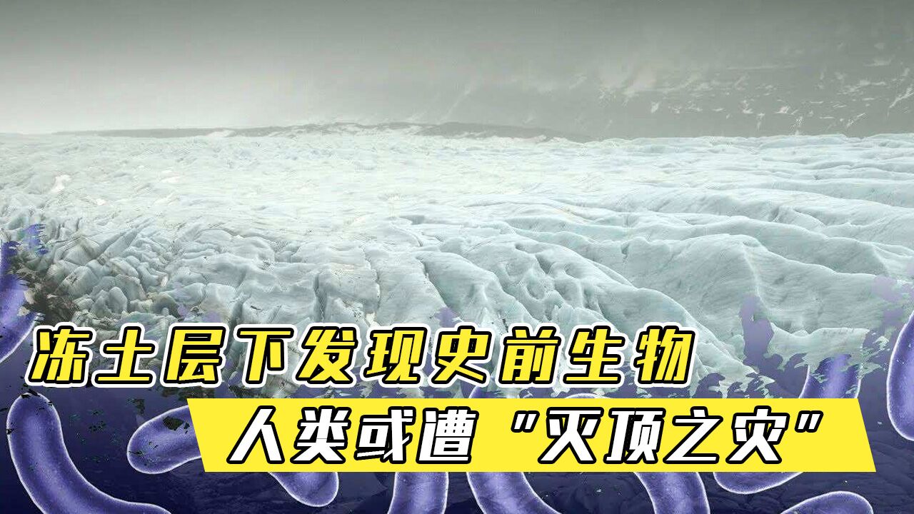 冻土层下发现史前生物,引发科学家担忧,远古病毒正在复活