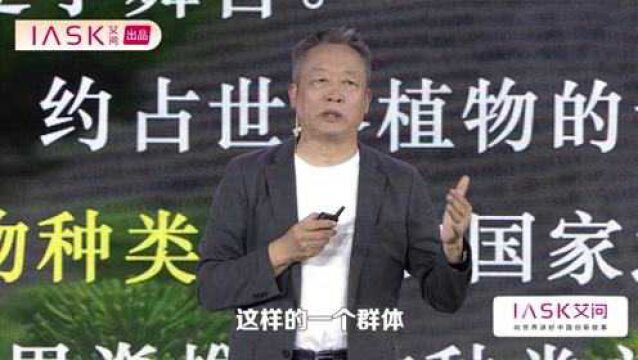 艾问人物李成才:寻根中国文化,那些神秘的自然力量!