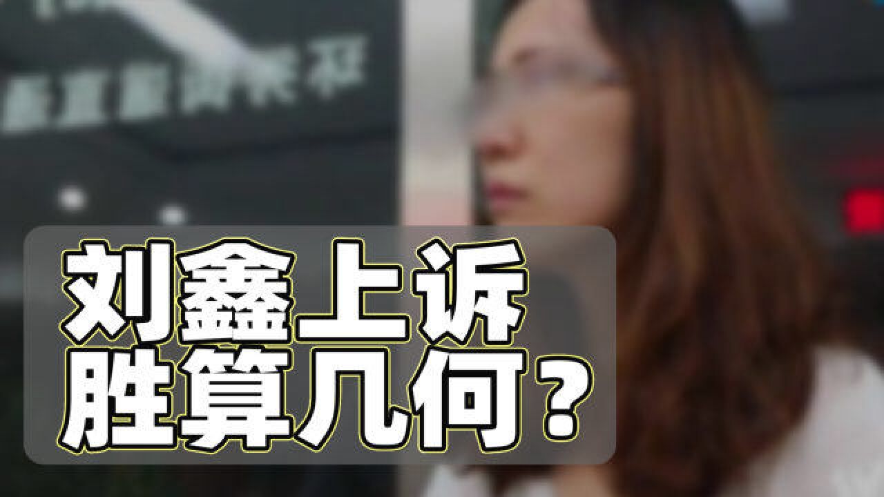 刘鑫上诉胜算几何?以及上诉状里读出的信息