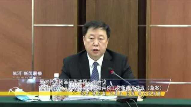 两会报道|黑河代表团举行代表团小组会议——继续审议省人大常委会和法检两院工作报告及决议(草案)