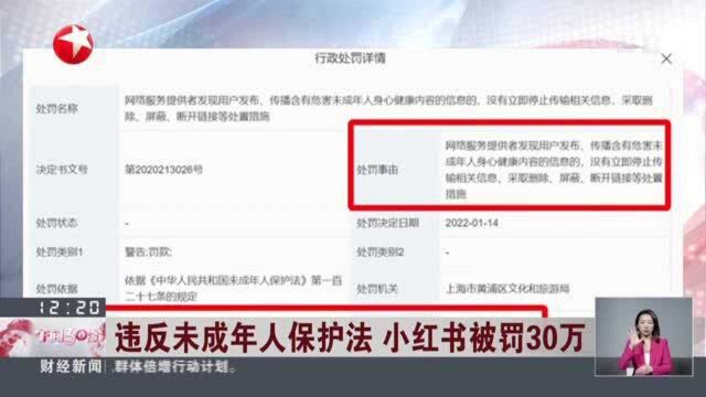 违反未成年人保护法 小红书被罚30万