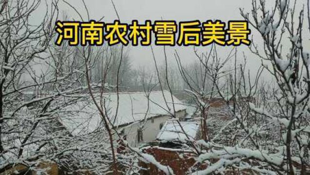 2021年腊月27河南农村雪后美景,配上这首经典老歌,你想家了吗