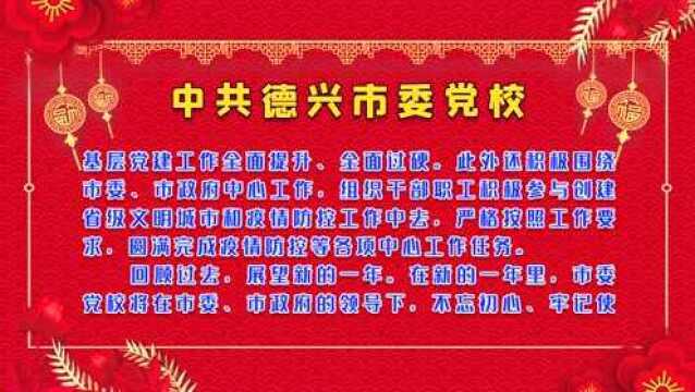 【新春团拜】中共德兴市委党校全校干部职工向全市人民拜年!