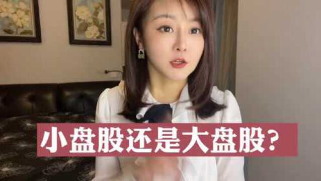 小盘股还是大盘股?不如这个一键配齐新经济巨头的指数基金