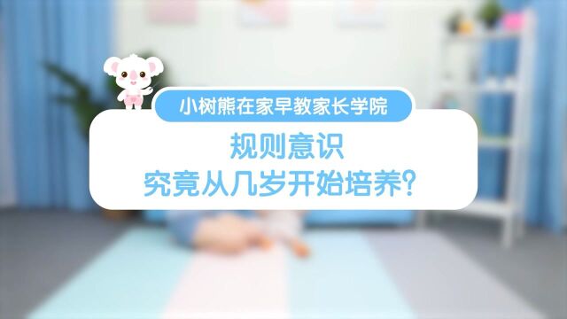 小树熊在家早教的家长学院 | 规则意识,究竟从几岁开始培养?