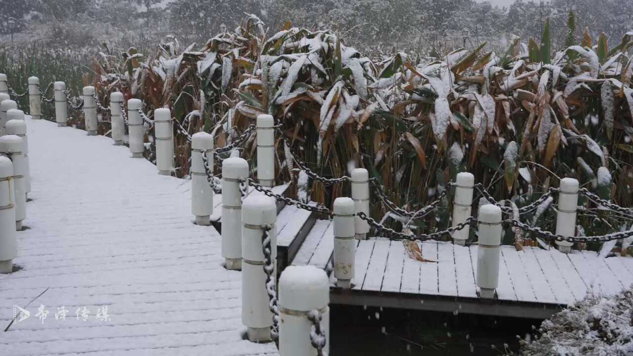 30多年来 元谋第一次下雪场景