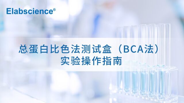 BCA法蛋白浓度测定实验操作