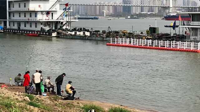 春暖花开之际,实拍武汉江滩美景