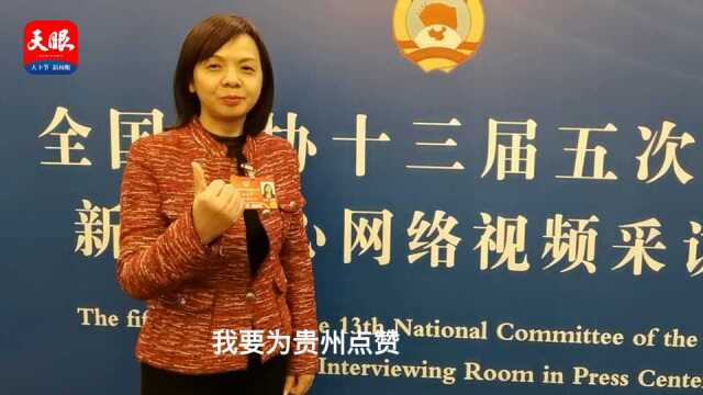 当谈论贵州时,人们在谈论什么|全国政协委员王美华:贵州有国之重器