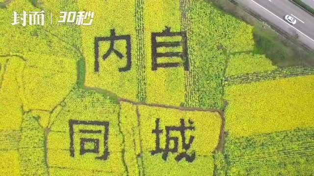 花开四川丨内江市市中区油菜花田开出“内自同城”,表达对内自同城化的期盼