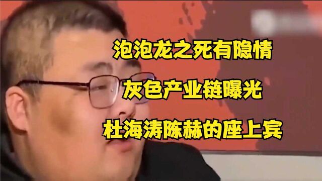 泡泡龙之死有隐情?背后灰色产业链曝光,作为杜海涛陈赫的座上宾