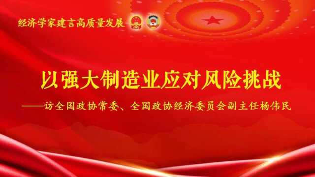 经济学家建言高质量发展丨杨伟民:以强大制造业应对风险挑战