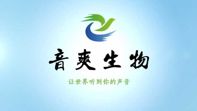 音爽科技:让世界听到你的声音