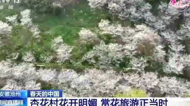 【池州播报321】网友咨询是否会有小学社会科目教师招聘,官方回复/我市核酸有序进行