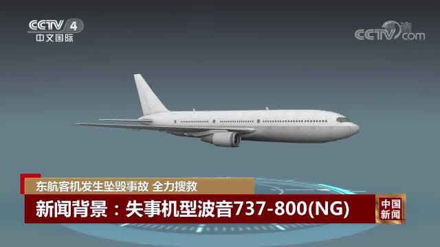 航空专家解读失事飞机:波音737800(NG)