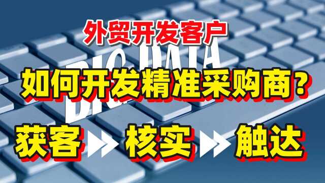 【合集】外贸开发客户过程中如何找到客户?核实客户信息?并且找到关键联系人如CEO、Buyer等邮箱、领英、WhatsApp等