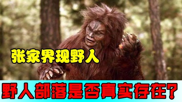 湖南张家界惊现野人踪迹野人部落是否真实存在专家给出答案