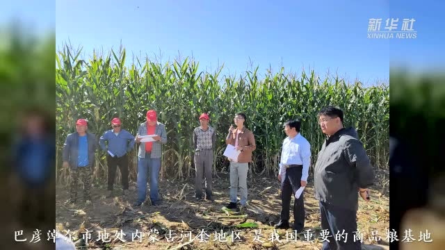 春耕时节,这批“农博士”“农硕士”奔波在田间地头