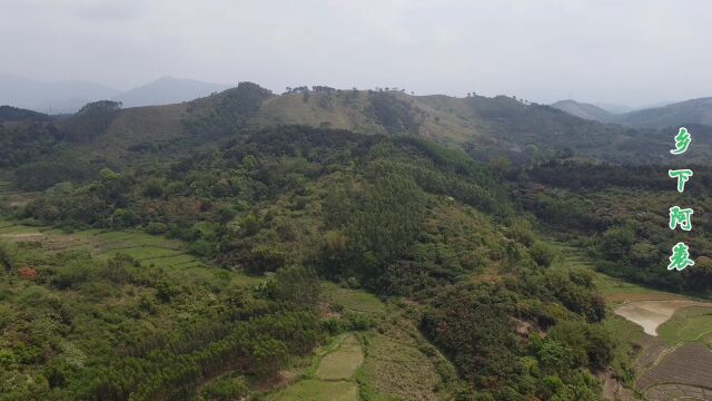 航拍广西钦州大山里的好风景,阿表选址,格局与众不同