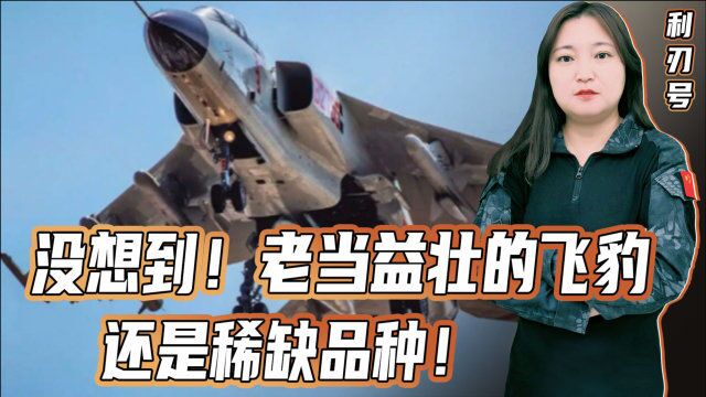 “飞豹”虽然老,但并不过时!反而是中国空军的稀缺机种