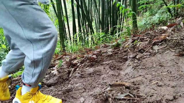 贵州赤水 | 践行劳动教育,促进乡村振兴