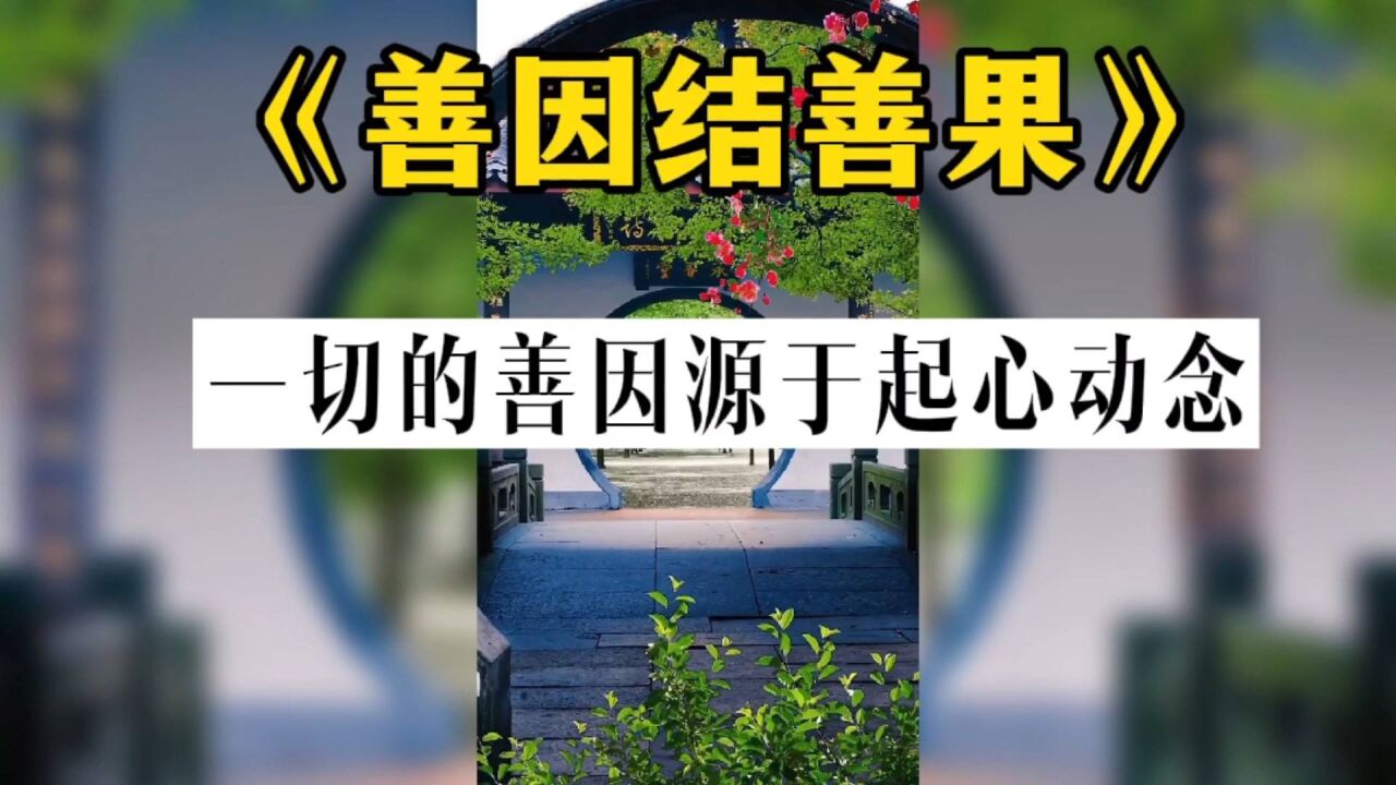 《善因结善果》