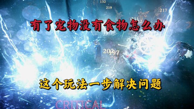 黑色沙漠手游:有了宠物没有食物怎么办?这个玩法一步解决问题!