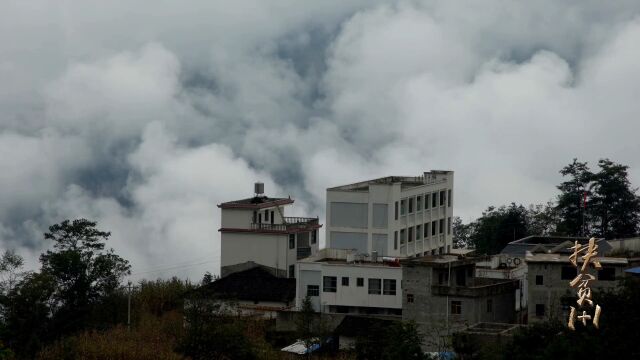 火地村义务教育入学率