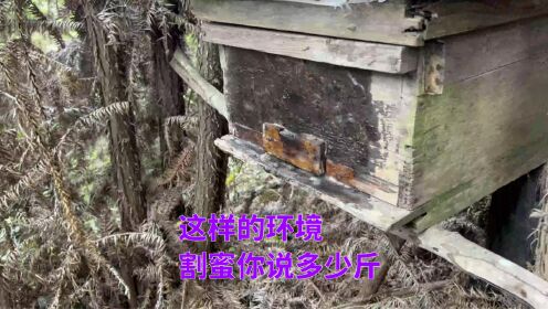 有哪些推荐赚钱的app