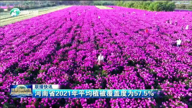 河南省2021年平均植被覆盖度为57.5%