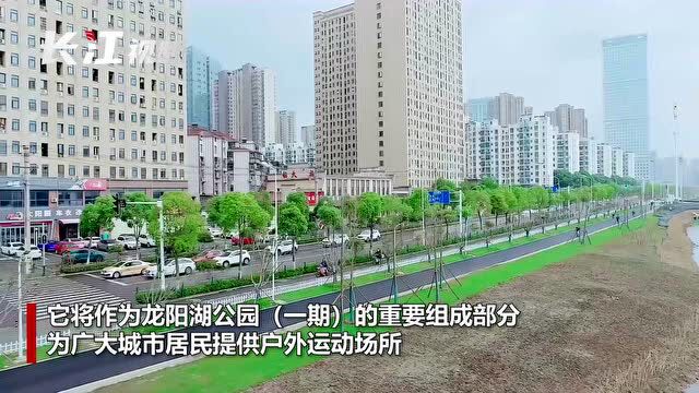 龙阳湖公园一期部分开放,汉阳市民有了新去处