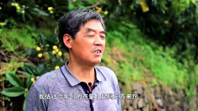 新闻行动 | “中国蓝帮帮团”助农纾困