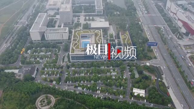 【视频】楼顶绿化 成就高颜值的“空中花园”