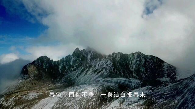 李桂莲歌曲《梨花赞》贵德风景篇MV展播