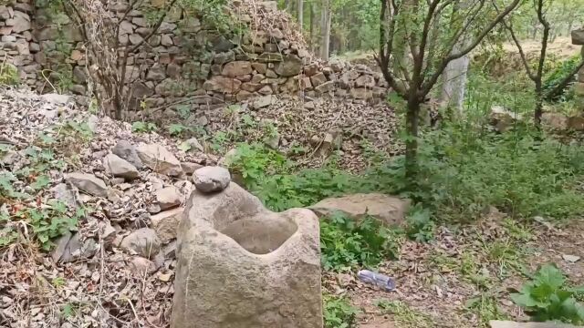 山东荒野里600年玄真观遗址,为什么很多人都回避它,一问三不知