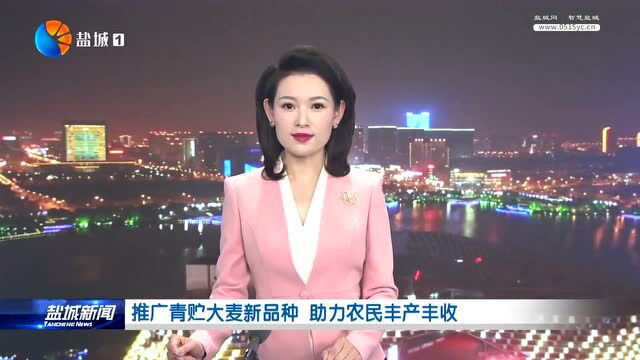 推广青贮大麦新品种 助力农民丰产丰收