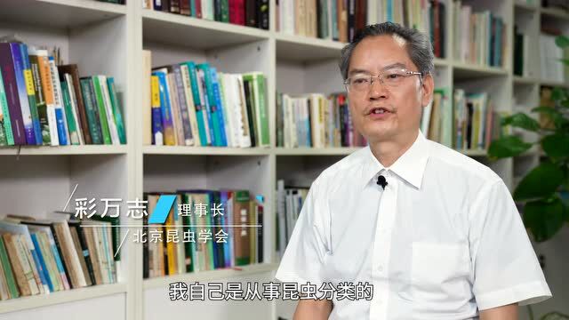 他让《普通昆虫学》变得“不普通”丨首创先锋