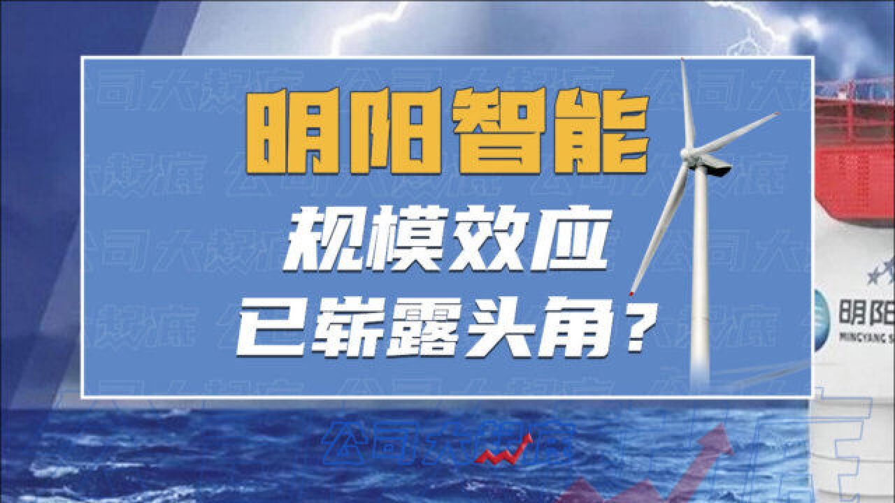 全球推动能源改革,这家公司规模效应已崭露头角?