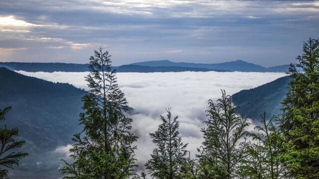 20220522海子山风景云海音乐周志华剑舞红袖高清