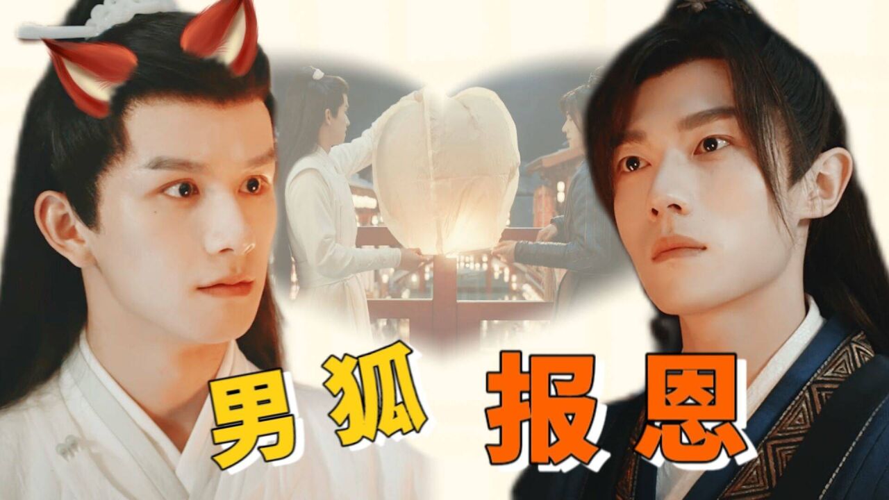 《男狐聊斋3》高甜向:金凌,你还记得处的蓝思追吗?
