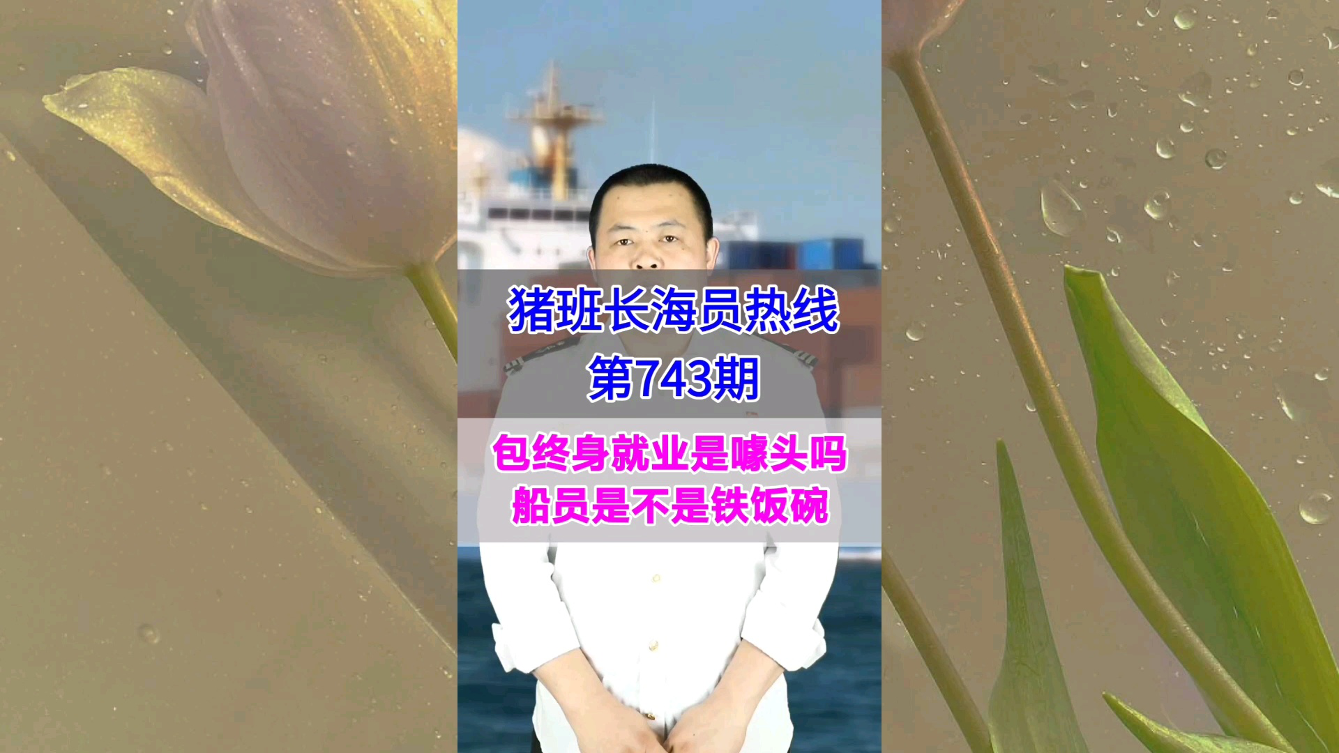 包终身就业是噱头吗？船员是不是铁饭碗(猪班长海员热线743期)