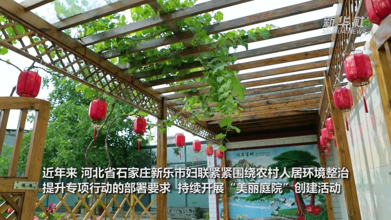 河北新乐:以庭院“小美”助推乡村“大美”