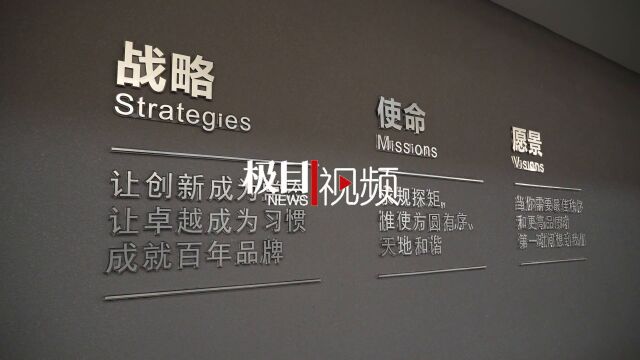 【视频】湖北省品牌建设促进会在武汉成立