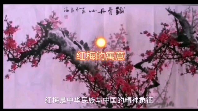 作品来自王良海老师《红梅的寓意》