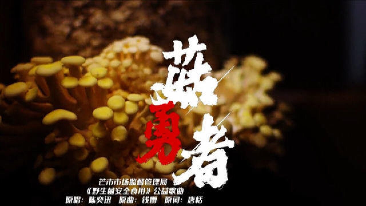 云南再出菌子神曲《菇勇者》