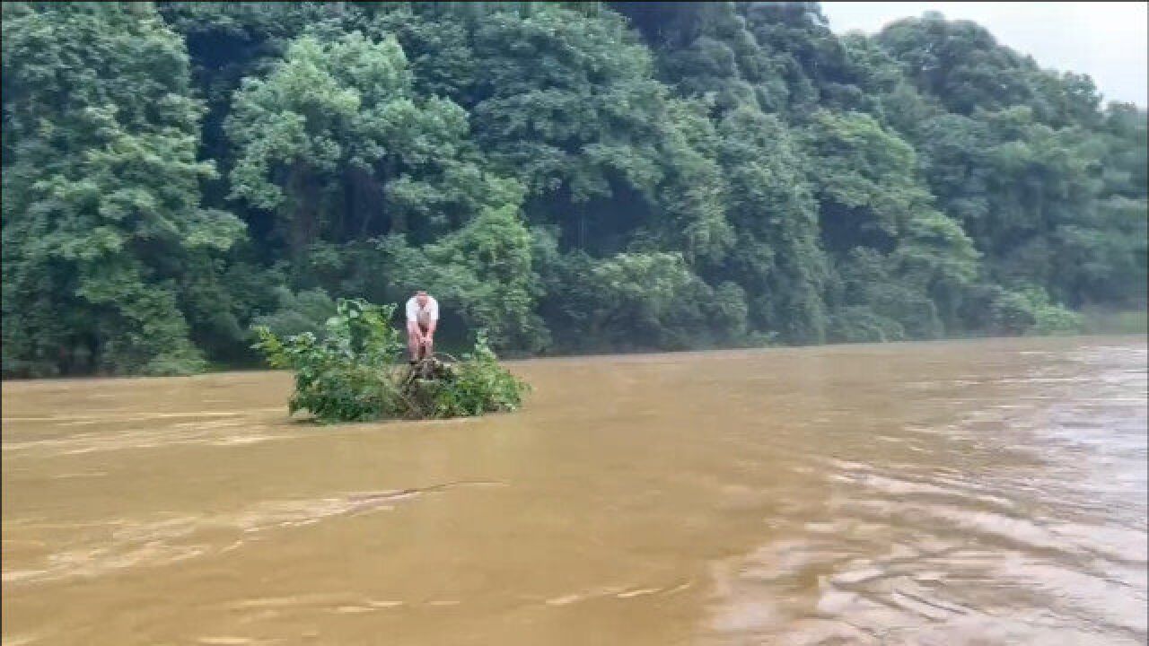 江西婺源遭遇强力洪涝考验,一男子站在树枝上被洪水冲走