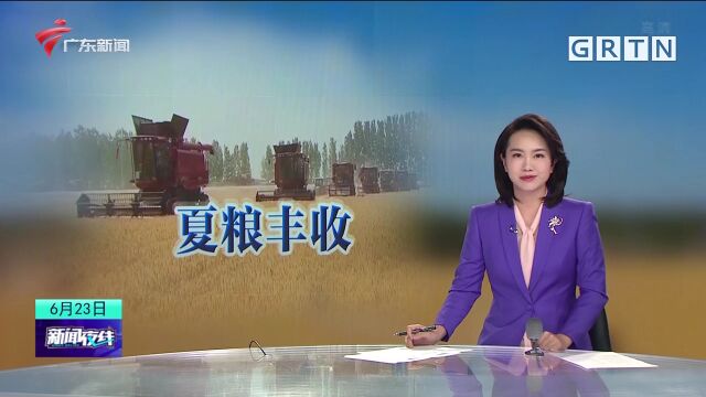 麦收记:我国夏粮主产区小麦丰收已成定局