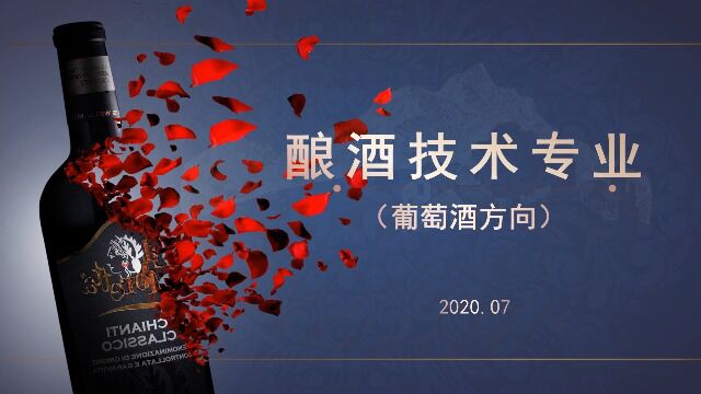 葡萄酒专业2020