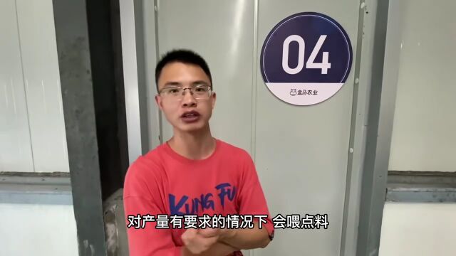 毕业论文成为现实!硕士生攻克陆地养虾难题……网友:真学以致用了