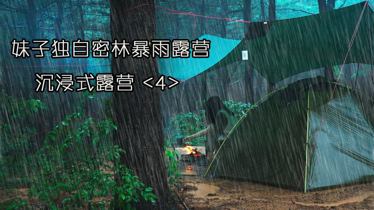 妹子独自密林中露营 暴雨从未停止 雨声让人放松解压「沉浸式露营」